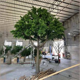 仿真龙柏树假树绿植装饰室内餐馆大堂装饰园林景观拍摄道具摆件