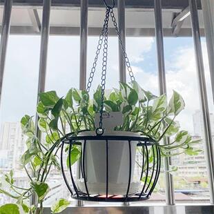 铁艺垂绿吊挂架篮吊篮悬挂式吊盆吊挂花677盆萝吊兰挂架挂式花盆