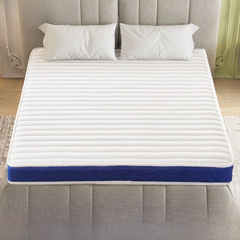 菲立环保椰棕护脊椎加厚加硬1.8m床垫可定制S尺寸折叠榻榻米垫