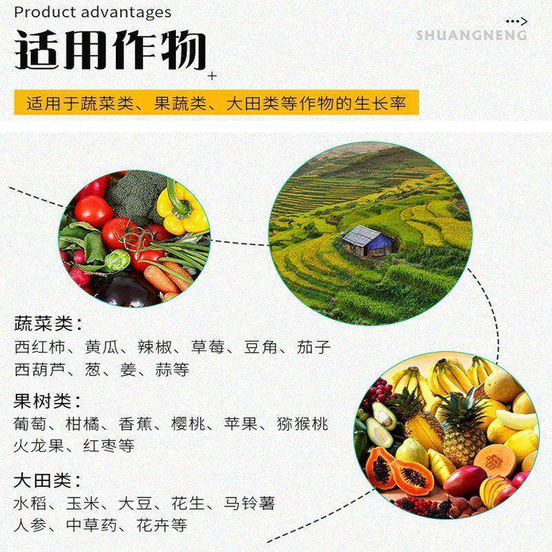 厂家供改应农业林业草芽孢杆菌良土壤用地枯草SST农芽孢枯杆菌