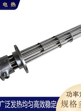 大功兰率法加热管工业电BJN热棒不锈钢加法加兰热管