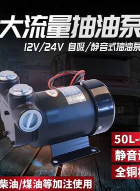 CDI抽油泵12v24v大流量直流柴油泵煤油泵加油泵抽油器电动抽油机