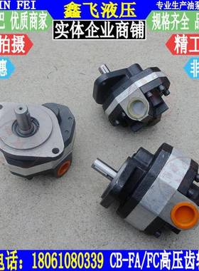 CB-FC10FC16FC20FC25FC31.5FC32FC40高压齿轮油泵FL液压泵