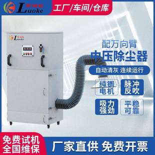 工业用脉冲滤筒中压除尘器移动柜式 烟尘净化器 工业粉尘集尘器立式