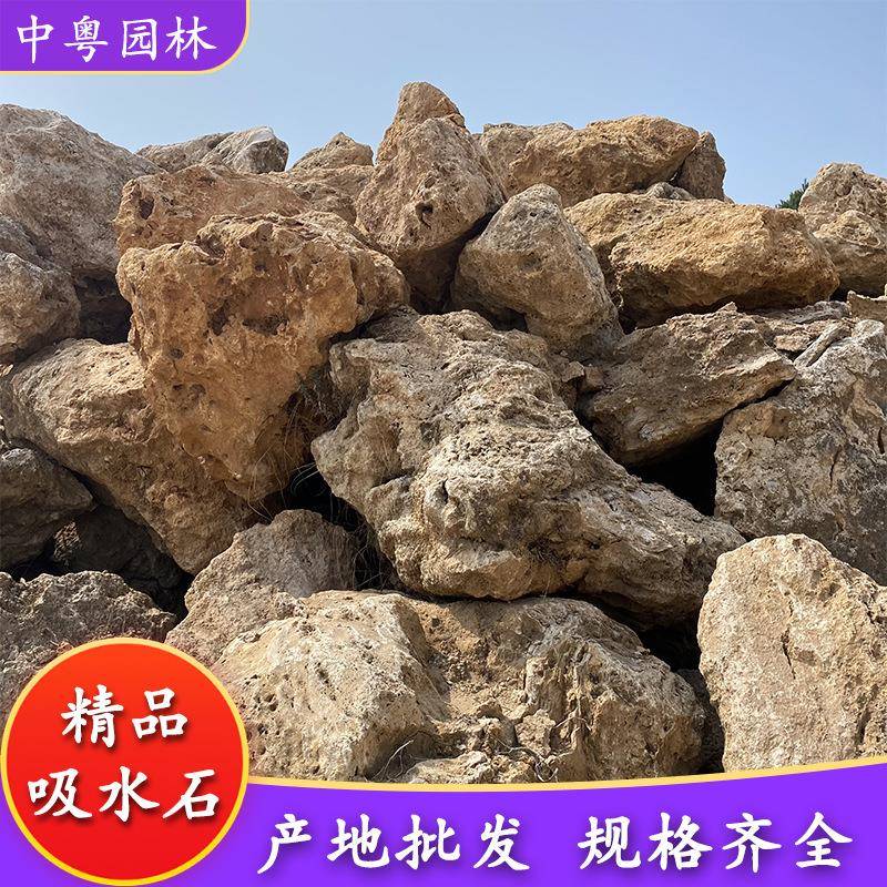 天然吸水石景观上水石庭院假山造景盆景石花园绿地草坪点缀石