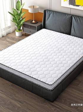 棕垫垫硬棕垫天然棕椰榈偏硬儿55052童护脊1.8m折叠家床用榻榻米