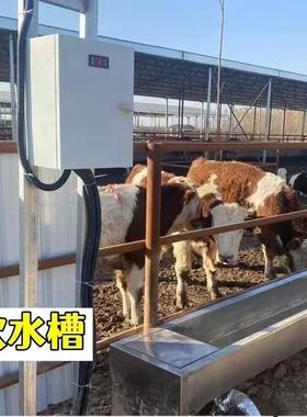 牛羊QPI温水槽不锈钢电加热恒温饮牛冻水槽自动上水防养设备恒恒