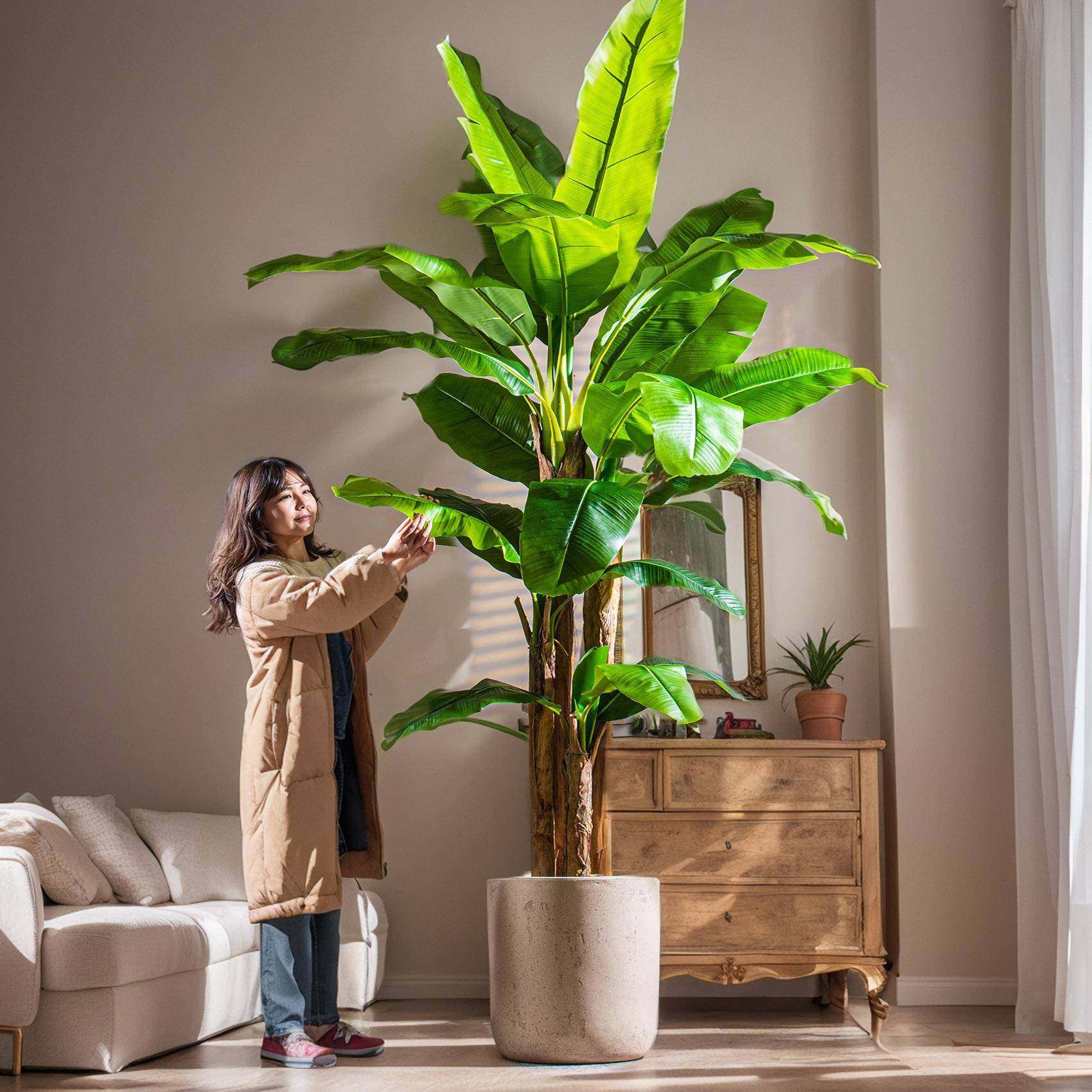 北欧大型仿真大叶子绿植芭蕉树装饰室内造景高端仿生植物假树摆件,工业油品/胶粘/化学/实验室用品,其他实验室设备,淘宝优惠券,粉丝福利购,淘宝优惠卷