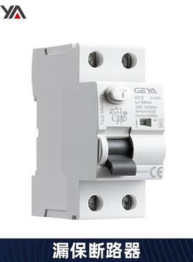 GEGYA格亚YLDSK9漏电保护断路器AAC型型25A40A63A开关AC-型2P4SP