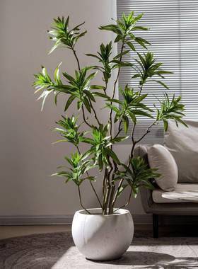 高级仿居真植百物BHZ-8596合竹大型假树盆栽植室内客厅仿生绿家造