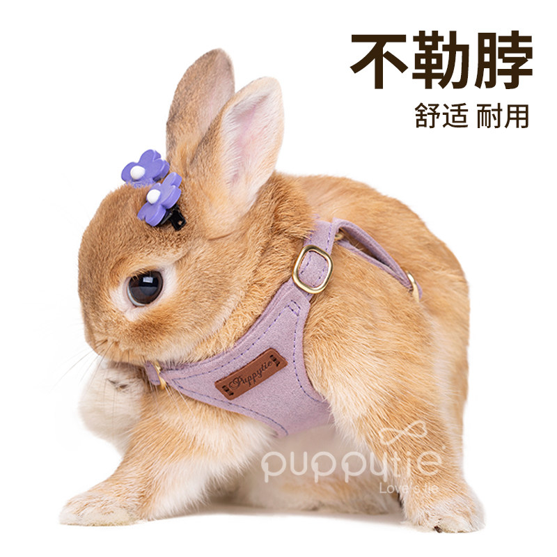 兔子牵引绳兔绳防挣脱兔链子可调节兔绳子遛兔绳侏儒兔宠物用品,宠物/宠物食品及用品,狗牵引绳,淘宝优惠券,粉丝福利购,淘宝优惠卷