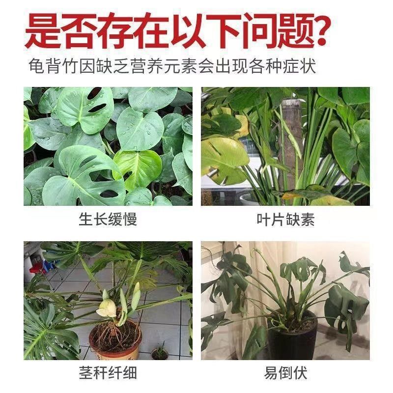 龟背竹专用营养液水培叶子发黄卷叶烂根催芽免稀释通用型叶面肥料,鲜花速递/花卉仿真/绿植园艺,家庭园艺肥料,淘宝优惠券,粉丝福利购,淘宝优惠卷