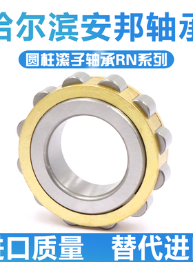 哈尔滨圆柱滚子轴承RN 304 305 306 307 308 309 EM