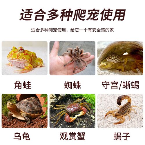 爬宠躲避屋乌龟仓鼠守宫蜥蜴蛇金丝熊寄居蟹躲避洞穴角蛙树洞晒台