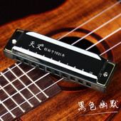 天义口琴10孔布鲁斯专业演奏级蓝c调成人儿童初学者学生入门十孔