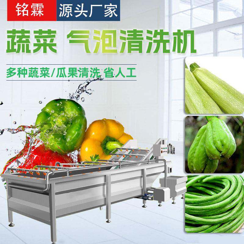 西葫芦佛手瓜清洗机设备不锈钢中央厨房清洗流水线净菜加工设备