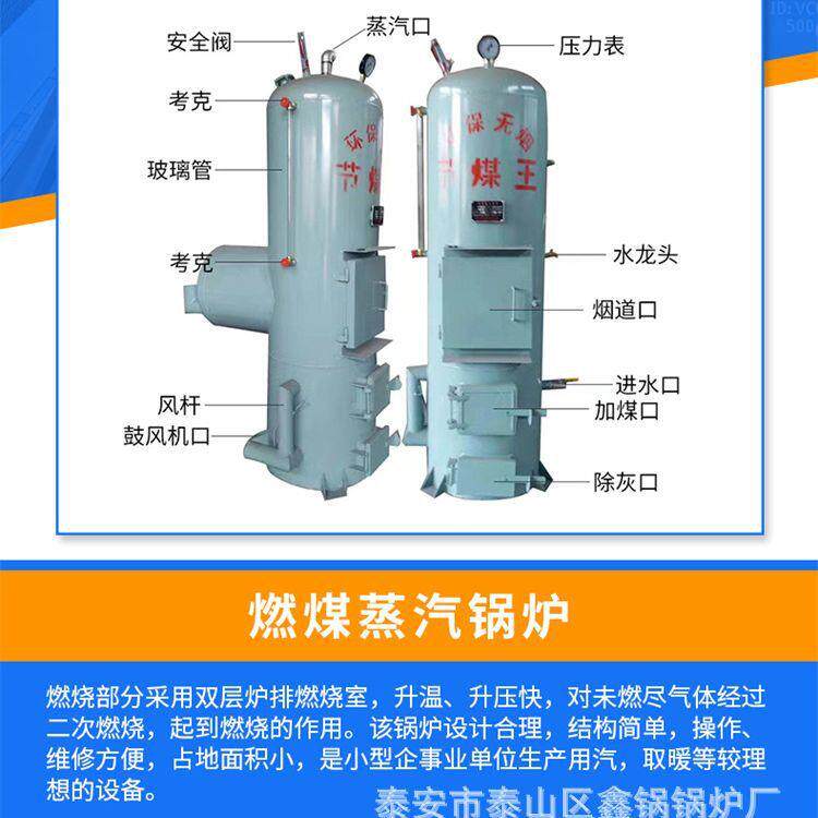 节能型环保常压锅炉立式燃煤直烧反烧小型蒸汽锅炉
