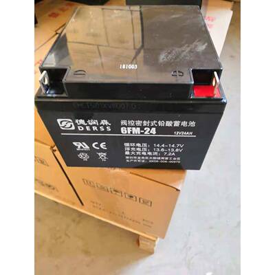 德润森蓄电池6-FM-2412V24AH铅酸免维护蓄电池