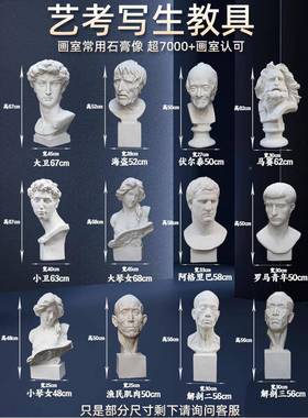 石膏像摆大卫石膏像件石膏像美术教具维纳斯小卫海盗欧塑美装品饰