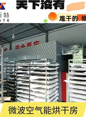 荔气枝能龙眼烘干机广东桂圆空烘干XHY设备热泵水果干箱式烘干机