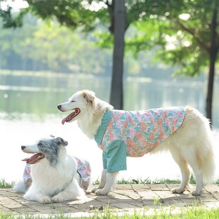 拍照可爱金毛萨摩 裙子衣服生日礼物情侣装 宠物大型犬边牧衬衫 薄款