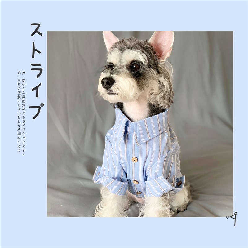 日杂男友衬衫夏季泰迪小奶狗衣服狗狗衬衫宠物猫咪衣服薄款防掉毛图片