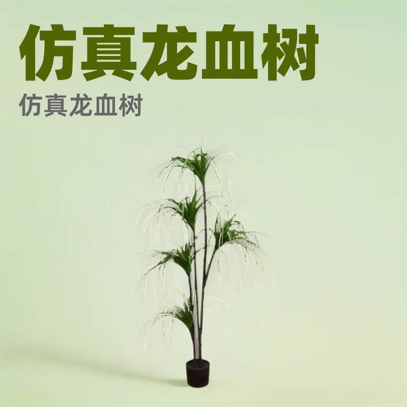 仿真龙血铁软装造景盆栽龙血树植物橱窗家居落地摆件绿植龙须铁