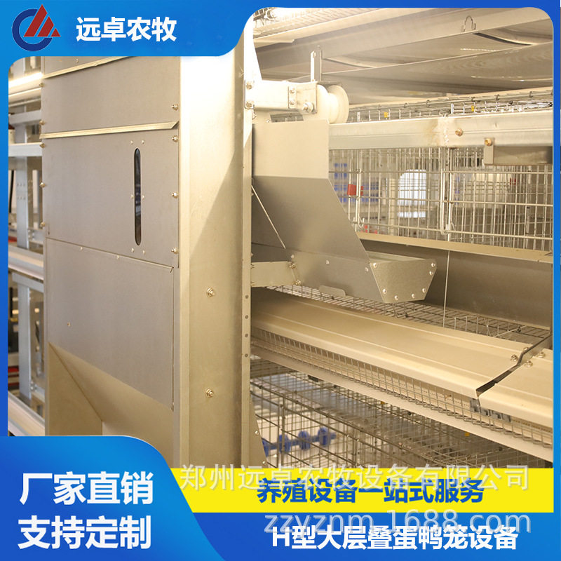 立体蛋鸭笼养鸭河南信阳五层H型框架自动化蛋鸭笼养自动捡蛋机