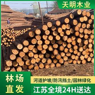 松木桩林场直销落叶松湿地松打桩木河道防汛木桩工地建筑水利工程