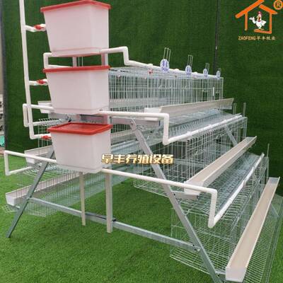 3层4层蛋鸡笼层叠蛋鸡养殖设备阶梯式蛋鸡养鸡笼鸡笼规模化养殖