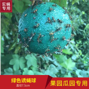 粘虫蝇粘胶绿色黄虫色诱峰板板实蝇实蝇瓜园瓜果球果园诱针专用
