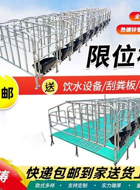 母猪地面猪用限位栏养猪场设备加厚地面围栏猪圈漏粪板设备