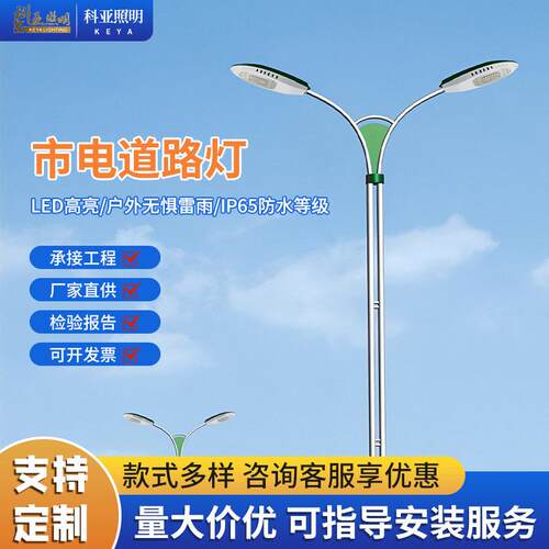 LED市电路灯市政臂双臂广区农村灯杆热镀锌8米10米双头厂家