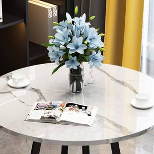 轻奢洽会谈圆桌小桌家m用餐桌售楼处客小985桌子办公室圆形圆桌阳