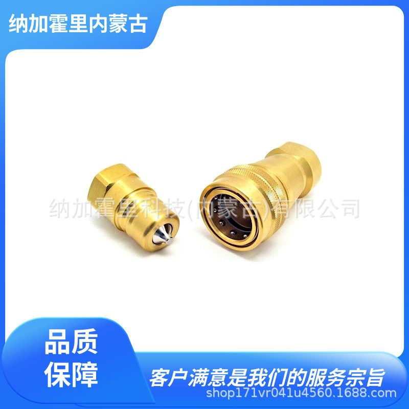 纳斯科模具冷却耦合器接头