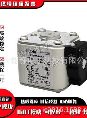 170M33931703M33410M3395170M3170M3393396巴斯曼熔断器现7货170M