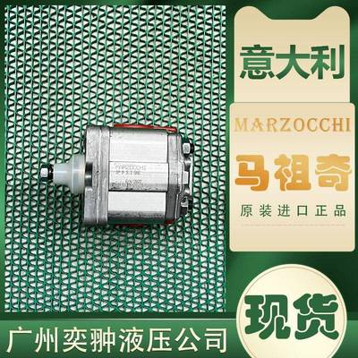 进口HCUE马A祖奇1PD2,5GASH泵齿轮MRZOCCI