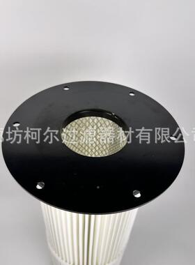 家直销耐酸P碱TFE覆气膜工业用25100法兰盘式吊装除尘滤筒厂空滤
