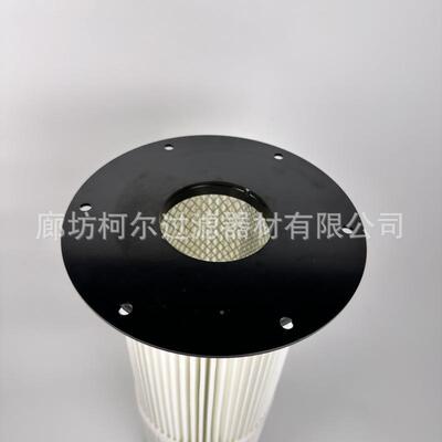 家直销耐酸P碱TFE覆气膜工业用25100法兰盘式吊装除尘滤筒厂空滤