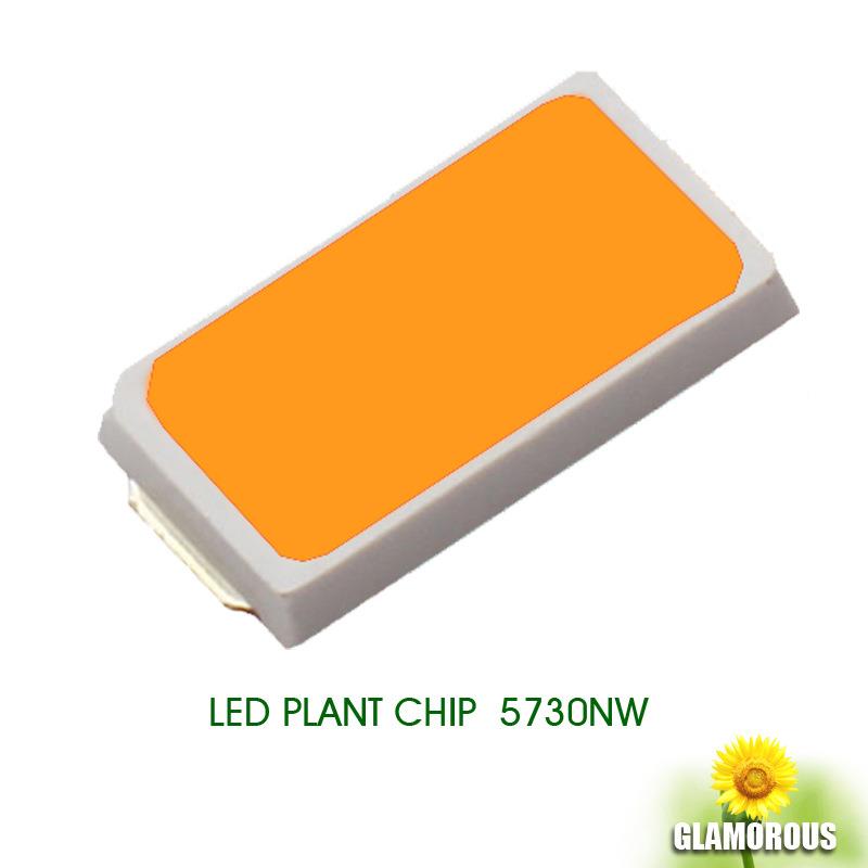 5730全光普led全光谱灯珠led5730贴灯珠植片生长灯.珠补光灯物珠0