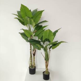 常青仿真植物小盆栽软装设计造景家居室内摆件喜林芋春羽仙芋绿植