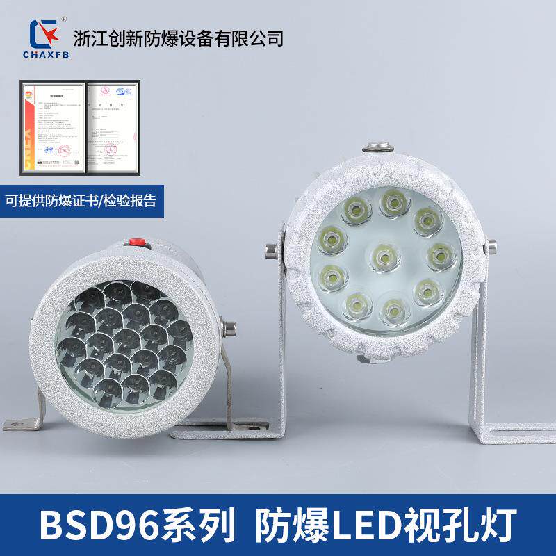 创新BSD96防爆视孔灯5W10W20W30W观察反应釜探照灯探照12/24/36V