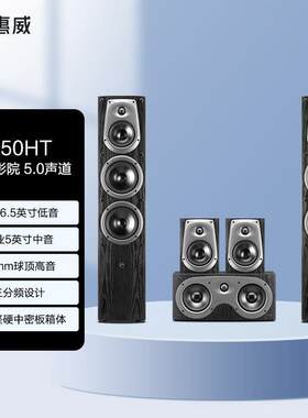 Hivi/惠威D50HT音响音箱家庭影院组合套装5.0声道hifi家用客厅