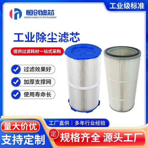 供应聚酯纤维滤筒工业除尘滤筒滤芯PTFE覆膜滤筒喷粉滤筒滤芯