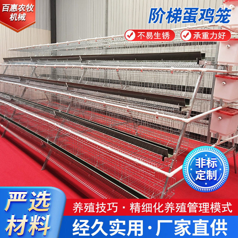 多层阶梯式蛋鸡笼鸡笼子加粗蛋鸡笼阶梯式鸡养殖笼具生产厂家