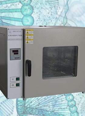 泰宏君DHG-9123ADHG-9123AE台式鼓风干燥箱120L容积200℃