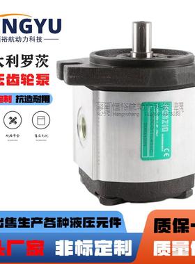 罗茨液压泵RONZIO齿轮泵02ZAG08CD032D02ZCG17S438高压压力油泵