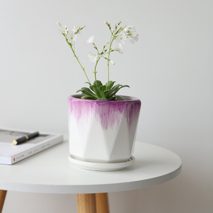 多边形花盆陶瓷带托盘发财树白掌绿萝植物多肉客厅阳台桌面花盆