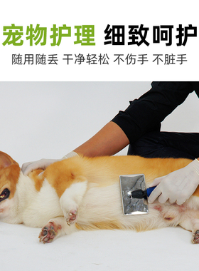 施睿康F840一次性乳胶手套实验室家居宠物洗碗无粉麻面橡胶手套