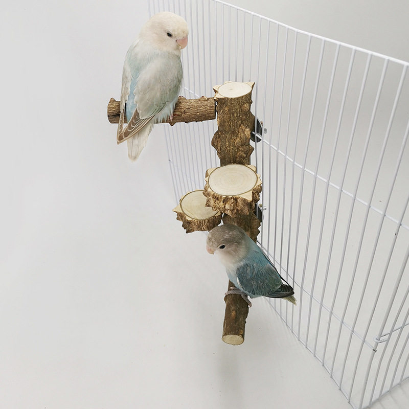 鹦鹉鸟玩具宠物用品花椒木站台站杆磨爪棒宠物鸟用具跳板站棒玩具,宠物/宠物食品及用品,鸟玩具,淘宝优惠券,粉丝福利购,淘宝优惠卷